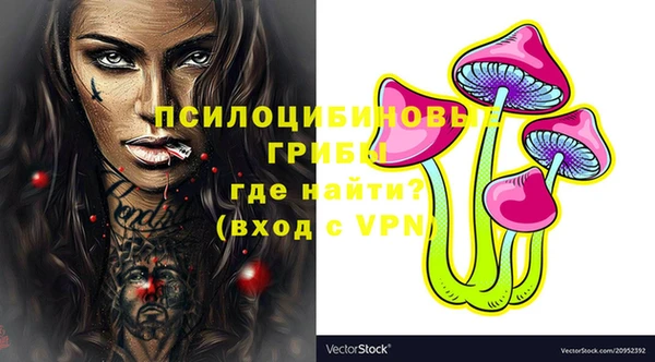 apvp Армянск